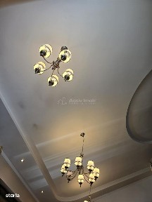 Strada Narciselor, Dragomiresti-Vale, Ilfov