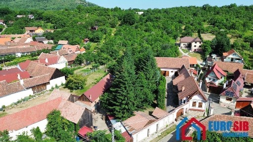 Casă exclusivistă în Sibiel - 3 corpuri, teren 6.193 mp, vedere