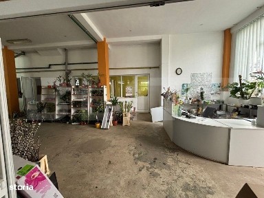Spatiu comercial de vanzare, 330 mp, Zalau