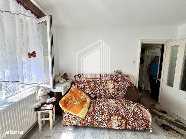 Botizului, Satu Mare