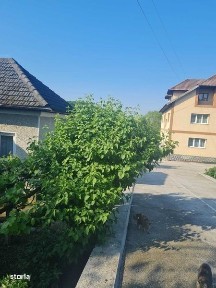 Linia, Budesti, Valcea