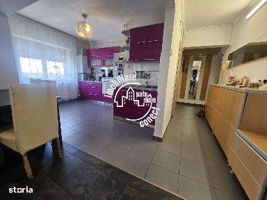 Subcentral, Satu Mare