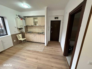 Garsoniera strada Cremenita