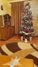 Schimb Apartament 3 Camere Buftea cu apartament 2 Camere in Buftea