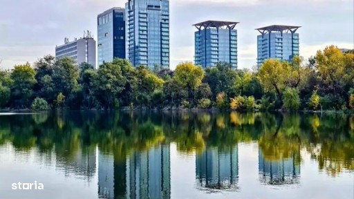 Calea Floreasca, Floreasca, Sectorul 1, Bucuresti