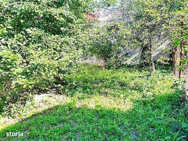 Gheorghe Grigore Cantacuzino, Ploiesti, Prahova