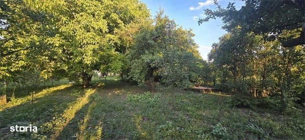 Chintelnic, Sieu-Magherus, Bistrita-Nasaud