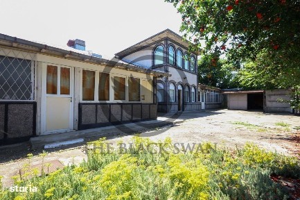 Pictor Rosenthal, Ploiesti, Prahova