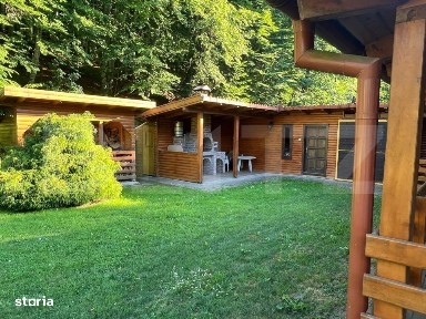 Cabana moderna in Campul Cetatii - confort si natura in acelasi loc