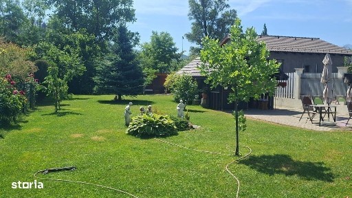 Strada Lunga, Cristian, Brasov