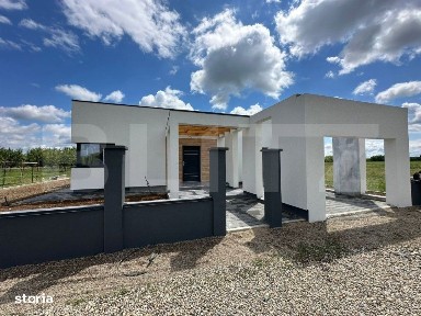 Viile Satu Mare, Satu Mare