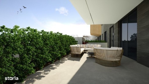 Calea Floreasca, Floreasca, Sectorul 1, Bucuresti