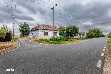 Casă cu 3 camere de vânzare, renovată la gri, teren 3300m Variașu Mare