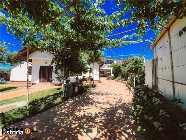 Podu Turcului, Bacau