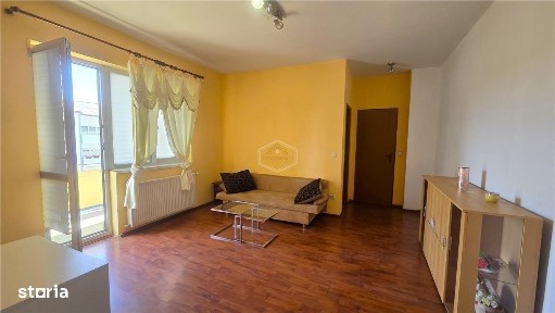 Subcentral, Satu Mare