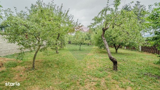 Bulevardul Brasovului, Sacele, Brasov