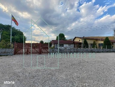 Domeniu, Afacere de vanzare, Sebes, Alba, balta pescuit, ferma lavanda