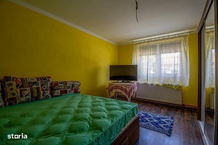 Victor Vlad Delamarina, Timis