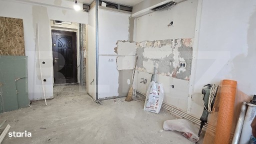 Zona Industriala Sud, Satu Mare