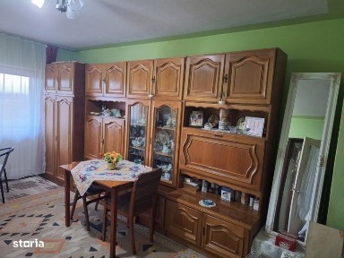 Subcentral, Satu Mare