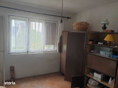 Subcentral, Satu Mare