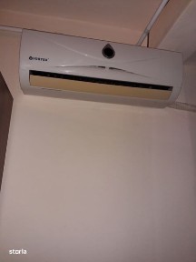 Subcentral, Satu Mare