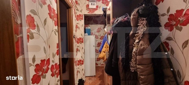 Solidaritatii, Satu Mare