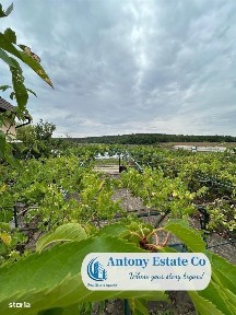 Antony Estate | LAKESIDE HOME - Lac Paleu