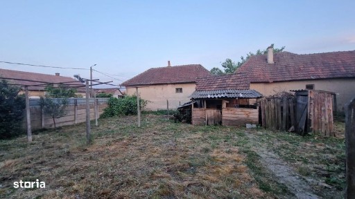 Tinca, Bihor