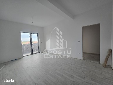 Rudicica, Mosnita Noua, Timis