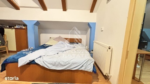 Steaua, Timisoara, Timis