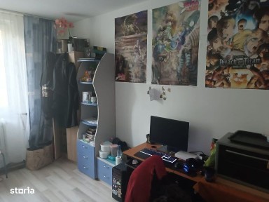 Cetate, Timisoara, Timis