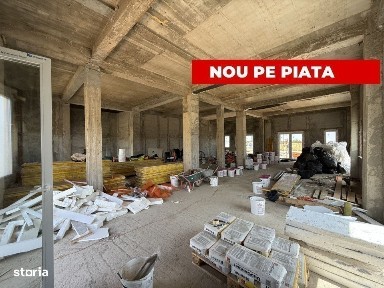Mosnita Noua, Timis