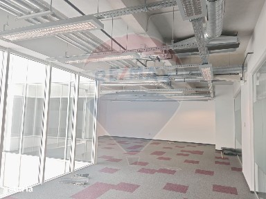 Dambul Rotund, Cluj-Napoca, Cluj