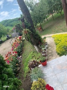 Razoare, Frata, Cluj