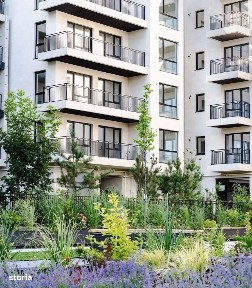 Bulevardul Pipera, Voluntari, Ilfov