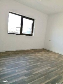 Sanmihaiu Roman, Timis