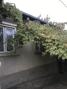 Casa de vanzare Medgidia