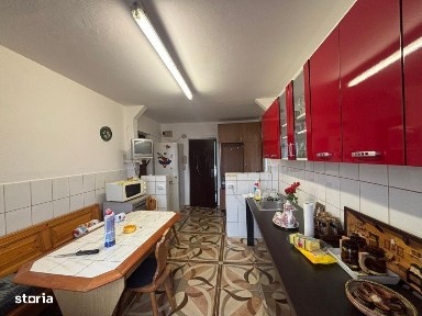 Vasile Alecsandri, Baia Mare, Maramures