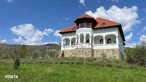 Strada Principala, Arefu, Arges