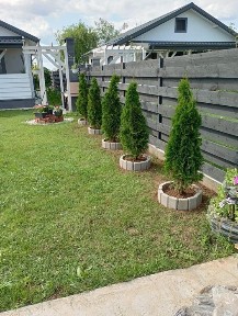 Casa 4 camere Joita,proprietar,panouri fotov,complet mobilata si utila