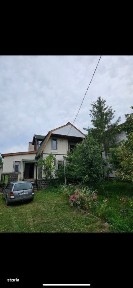 Viile Satu Mare, Satu Mare