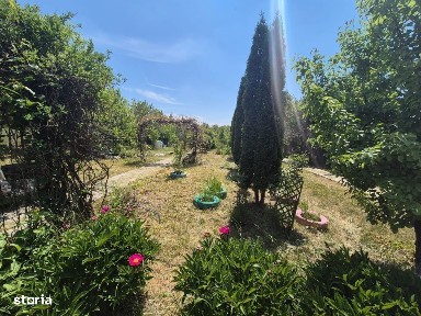 Mitocu Dragomirnei, Suceava