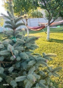 Inchiriez Curte cu Gradina spatioasa, pentru petreceri.