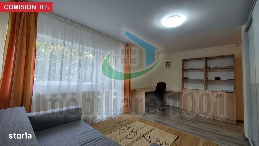 Strada Victoriei, Valea Borcutului, Baia Mare, Maramures