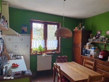 Casa stil rustic langa padure si plantatie de pin