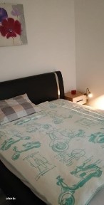 Vind apartament renovat