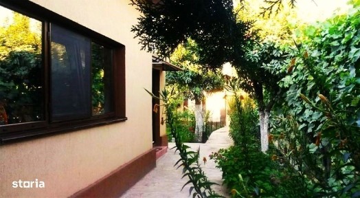 Strada Izvorului, Baneasa, Giurgiu