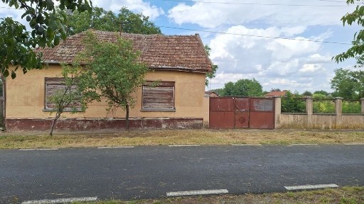 Casa veche cu teren 2877 mp