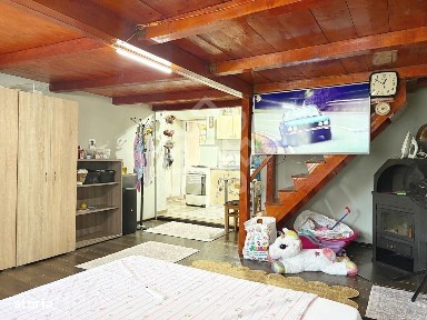 Strada Ady Endre, Olosig, Oradea, Bihor